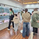 베리독 강아지고양이 평택본점 | 평택강아지분양 베리독 강아지고양이 평택본점 의료비 평생 할인해 드립니다.