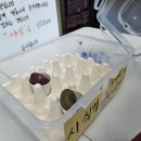 야심잔기지떡 인천중구청점 이미지