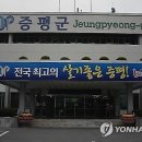 음성읍 명품가로숲길 이미지