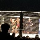 코리아화물 이미지