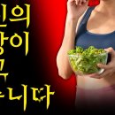 대장 속 부패와 산성화를 막아라!! 이 영상을 모든 장질환 환우분들에게 바칩니다 [식이섬유 18부] 이미지
