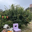 회관농장 이미지