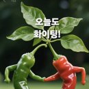 행정삼거리 이미지