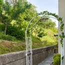 모꼬지옥탑방 이미지