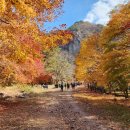 강천산(대구) 이미지