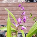 한택식물원주차장 이미지