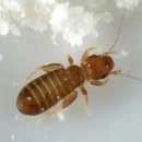 (주)조은환경 이미지