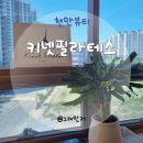 키넷필라테스 | 천안 백석동 필라테스 키넷필라테스 후기