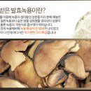 녹용명가