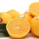 향긋농장 이미지