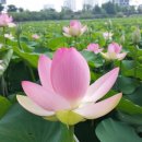 봉담호수공원 이미지