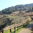 가족 양봉원 이미지