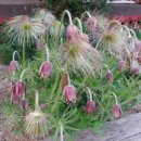 으뜸농약 이미지