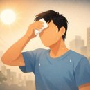 온열질환자 10배 폭증…질병청, 첫 열사병 표준 지침 배포 이미지