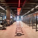 파워 짐 이미지