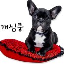 송정이용원 - 북구 송내10길 13 | 송정이용원