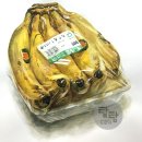 탐탐드로잉미술학원