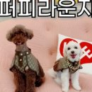 더아담수서역