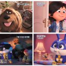 쇼미더펫 이미지