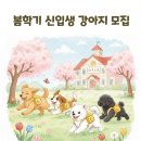 바우스쿨 이미지