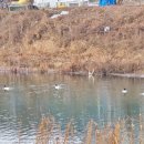 게르마늄황토불가마 이미지