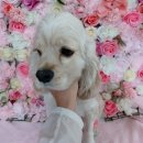 제일끼꼬어린이집 이미지