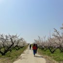 보해가든 이미지