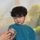 주니멀