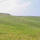 서산농장 이미지