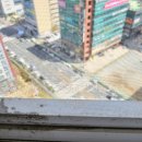 목포무안방충망▶ 남악트리폴리앙, 우미파렌하이트 아파트 스텐망&amp;미세망 교체 후기