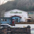 까페나무 이미지