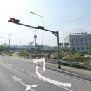 [광주 북구 용전동] 광주 신상 애견카페, 멍지트