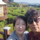 송호파크 네이버블로그