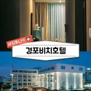 더 강릉 모텔 이미지