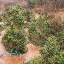 의료법인 대한불교조계종승려복지 | 편백나무숲 원두막 신명난 음악힐링