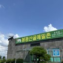 봉평산골메밀촌 | 메밀막국수 맛집!!봉평산골메밀촌!내돈내산후기