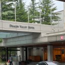 드래곤마운틴 | 마운틴코스터부터 야시장까지! 모나용평리조트 드래곤밸리 호텔 내돈내산