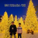 순지농장 | 양산 카페 추천 하북면 크리스마스 트리카페 트리폰즈