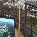 솔바람길 이미지