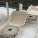 던킨 두바이도넛 &amp; 흑임자두바이도넛 두친자의 후기 칼로리, 가격