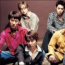 신화 카카오 검색결과