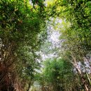 소라의성 관광안내소 이미지