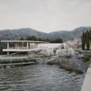 올퍼블릭 이미지