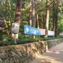 안지랑골관리소뒤 네이버블로그