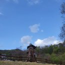밭고개3길 | 봉화군 캠핑 봉화숲속캠핑장, 3가지 셀링포인트와 실제 후기 정리