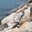 가나 문구 수퍼 이미지