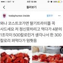 김사새요