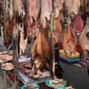 번개시장 화장실 이미지