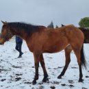 대연목장 이미지