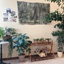 어썸바이츠(Awesome Bites) 이미지